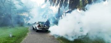 El municipio profundiza operativos de fumigación contra el mosquito culex