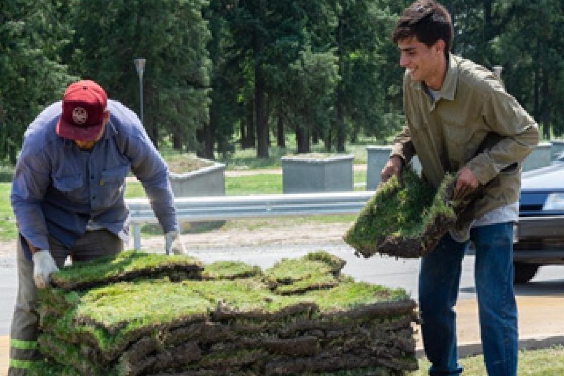 La Escuela Municipal de Jardinería dictará un taller sobre césped