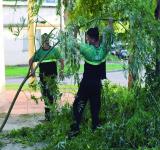La Municipalidad desarrolla tareas preventivas ante alerta por tormentas