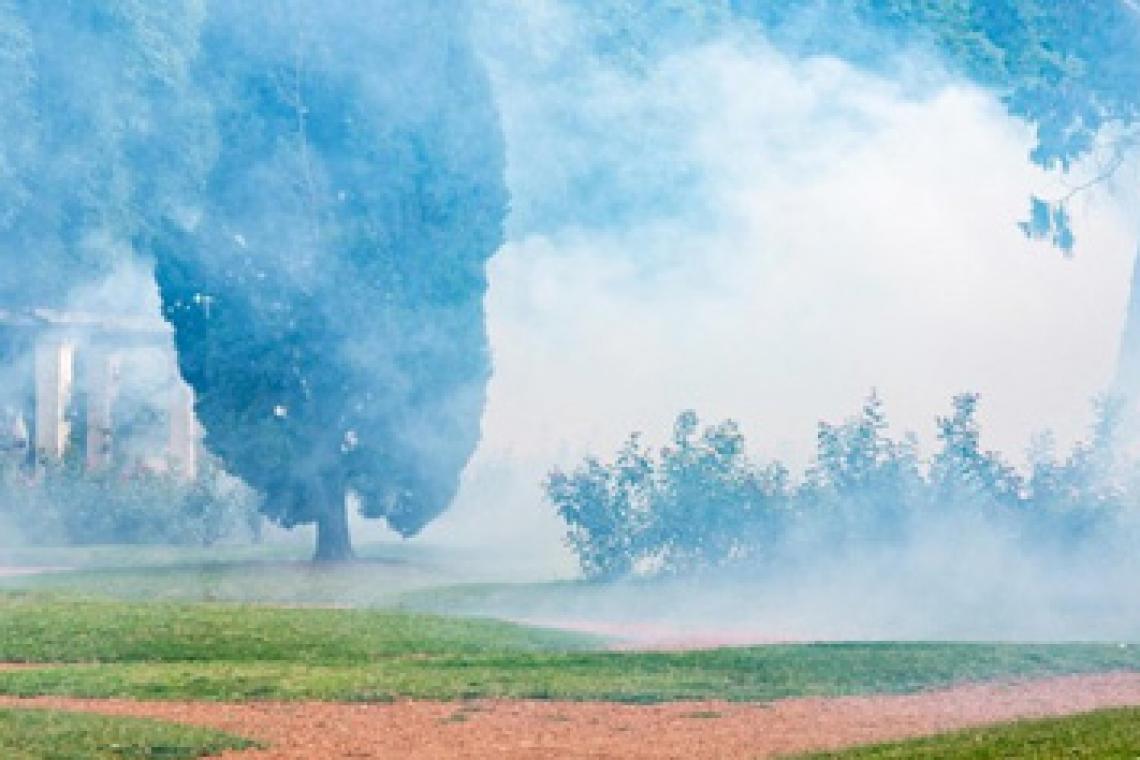 El municipio continúa desarrollando operativos de fumigación