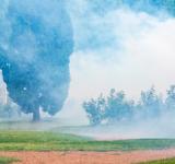 El municipio continúa desarrollando operativos de fumigación