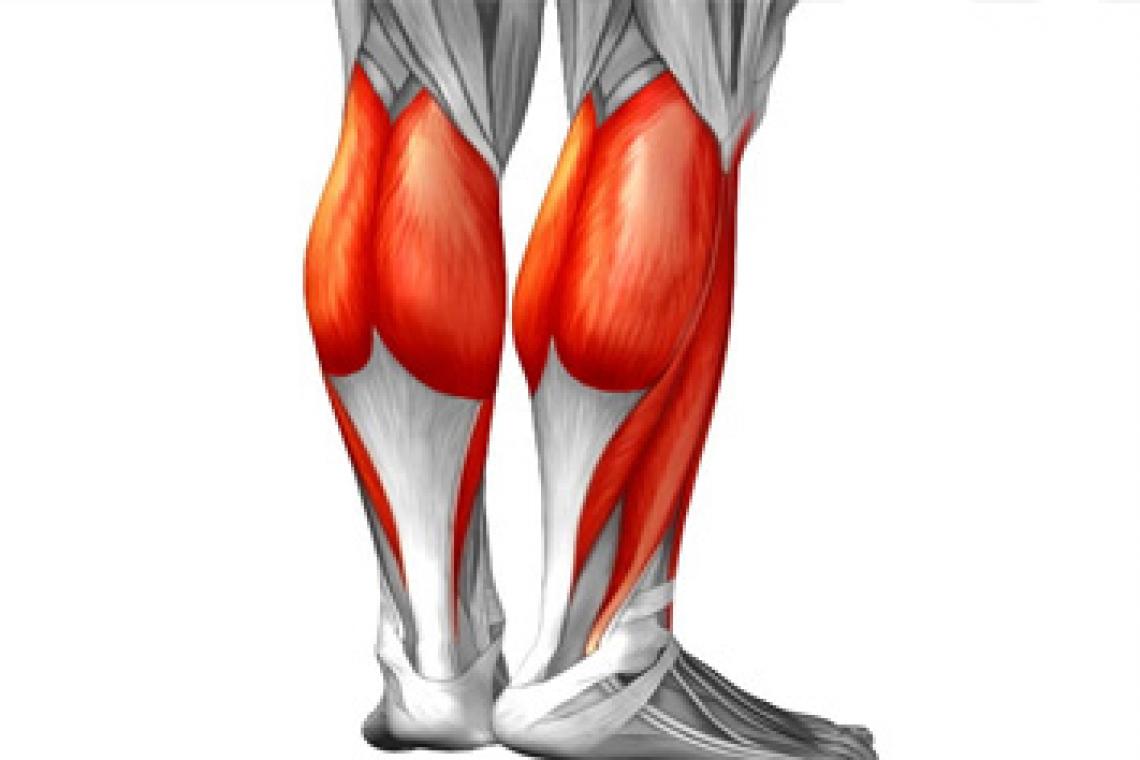 Por qué es tan importante el sóleo, el músculo al que llaman el "segundo corazón"