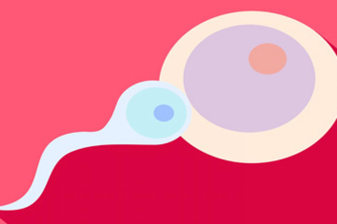 Día Mundial de la Fertilidad ¿Qué saber?