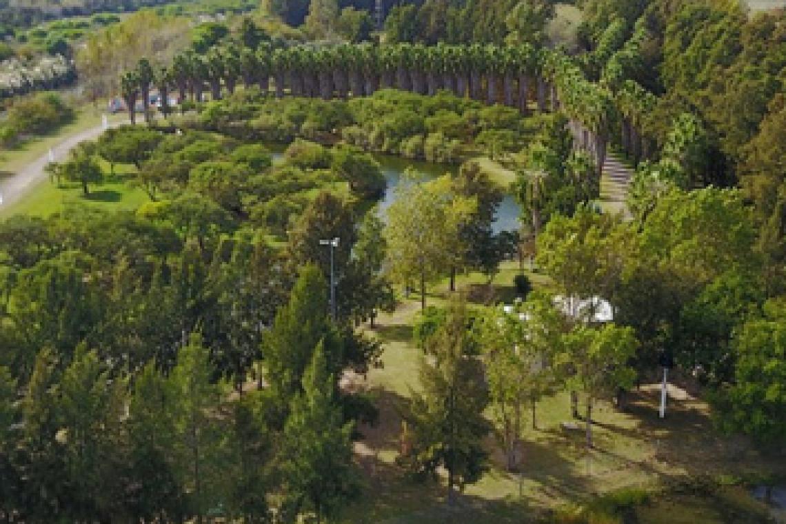 Día Mundial del Medio Ambiente