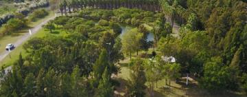 Día Mundial del Medio Ambiente