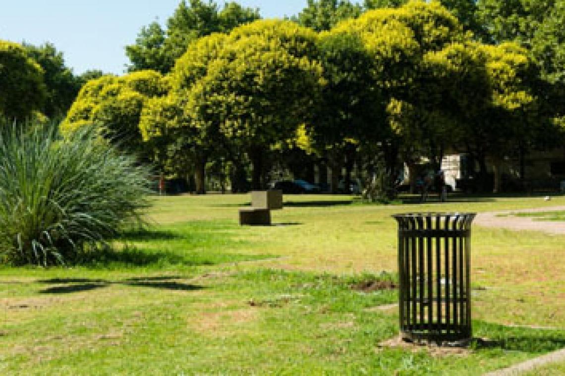 Rosario conmemora la «Semana del Árbol» con múltiples actividades