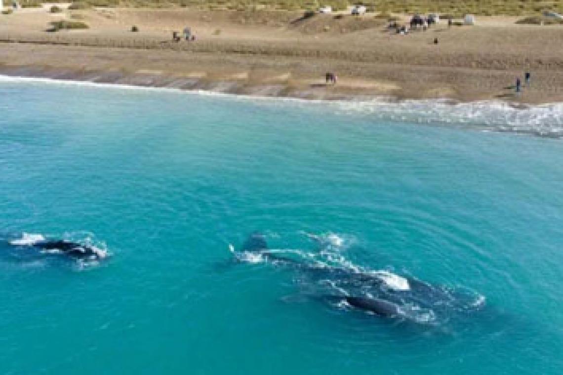 Es un paraíso escondido de la Patagonia que compite con las playas brasileñas.