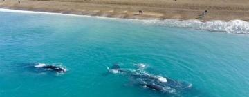 Es un paraíso escondido de la Patagonia que compite con las playas brasileñas.