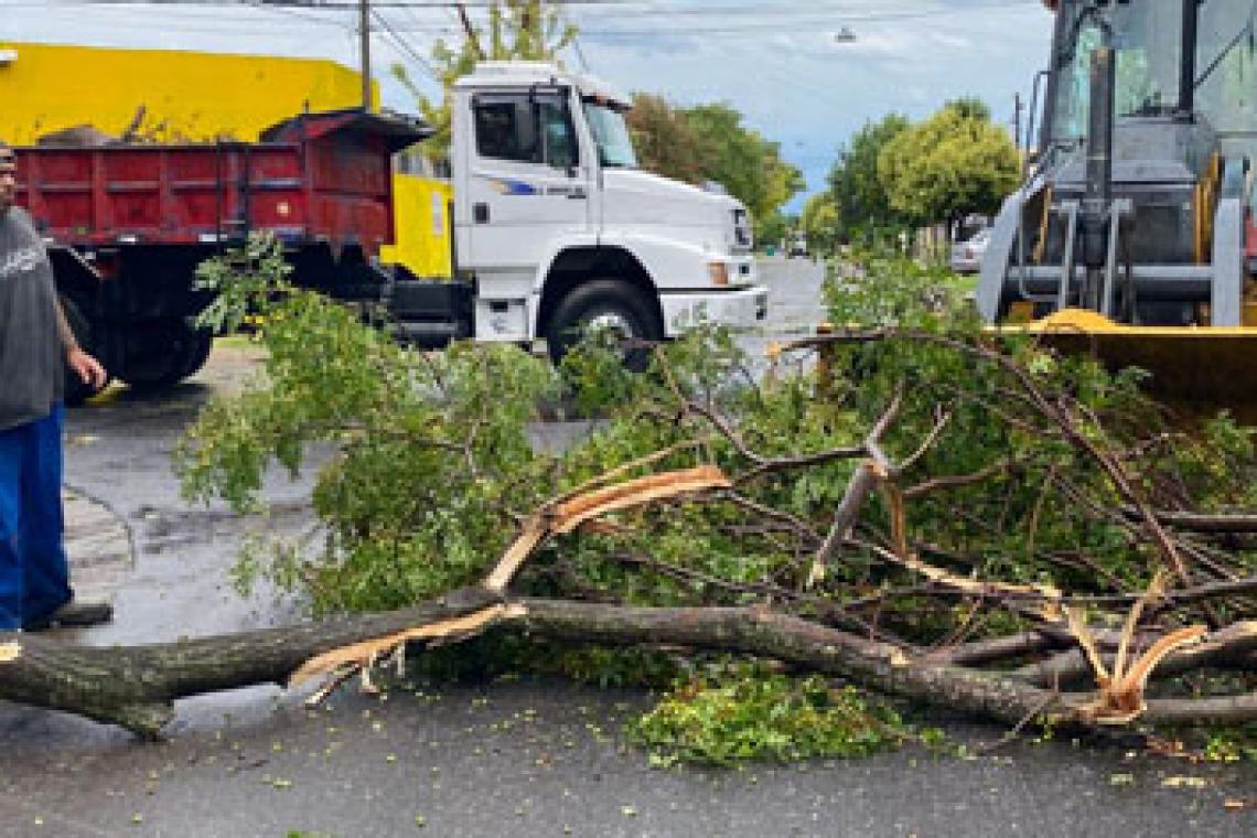 ROSARIO: EN MENOS DE UNA HORA CAYERON 59 MM DE AGUA Y HUBO VIENTOS DE MÁS DE 100 KM/H