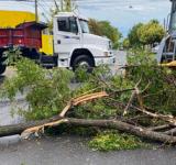 ROSARIO: EN MENOS DE UNA HORA CAYERON 59 MM DE AGUA Y HUBO VIENTOS DE MÁS DE 100 KM/H