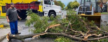 ROSARIO: EN MENOS DE UNA HORA CAYERON 59 MM DE AGUA Y HUBO VIENTOS DE MÁS DE 100 KM/H