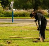 Se convoca a voluntarias y voluntarios a una masiva plantación de árboles en parque Italia