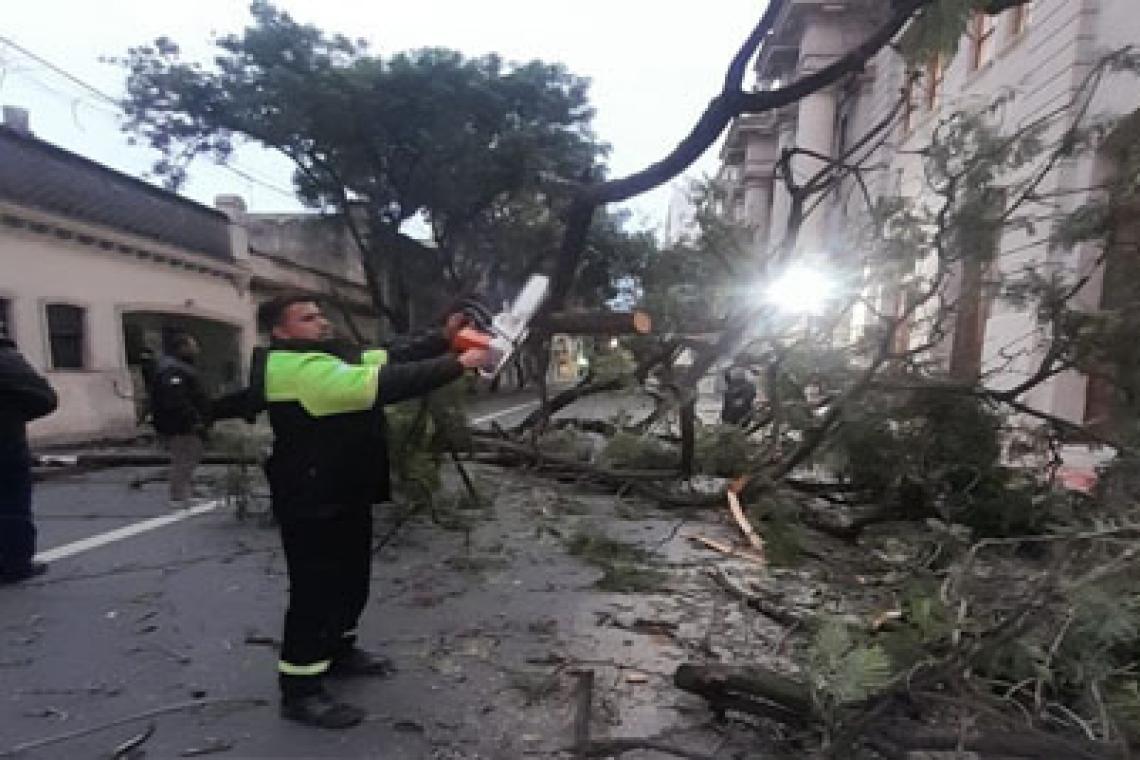 Tras la tormenta, unos 600 operarios del municipio trabajan en la normalización de la ciudad