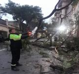 Tras la tormenta, unos 600 operarios del municipio trabajan en la normalización de la ciudad