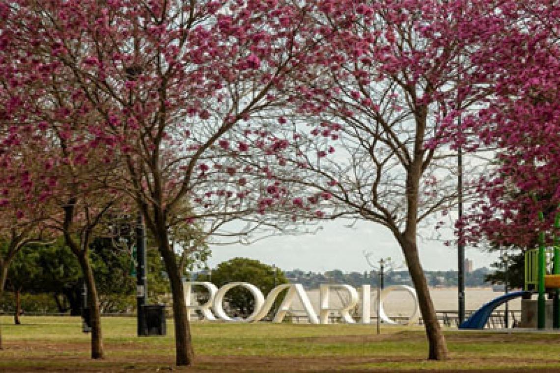 En agosto la ciudad será sede de la «Semana del Clima»