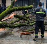 Unas cien cuadrillas municipales trabajan para normalizar los efectos de la tormenta en toda la ciudad 