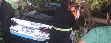 Impacto de la tormenta en Rosario: 13,3 mm de lluvia y ráfagas de 75 km/h