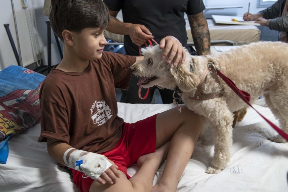 Con Cala y Zafira, comenzó la prueba piloto de ingreso de animales de compañía en el Hospital Vilela