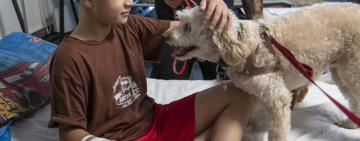 Con Cala y Zafira, comenzó la prueba piloto de ingreso de animales de compañía en el Hospital Vilela