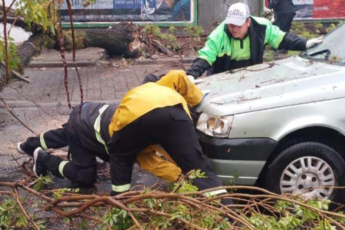 Por la tormenta, Protección Civil reforzó guardias y dio respuesta con más de 50 intervenciones