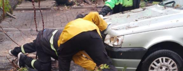 Por la tormenta, Protección Civil reforzó guardias y dio respuesta con más de 50 intervenciones