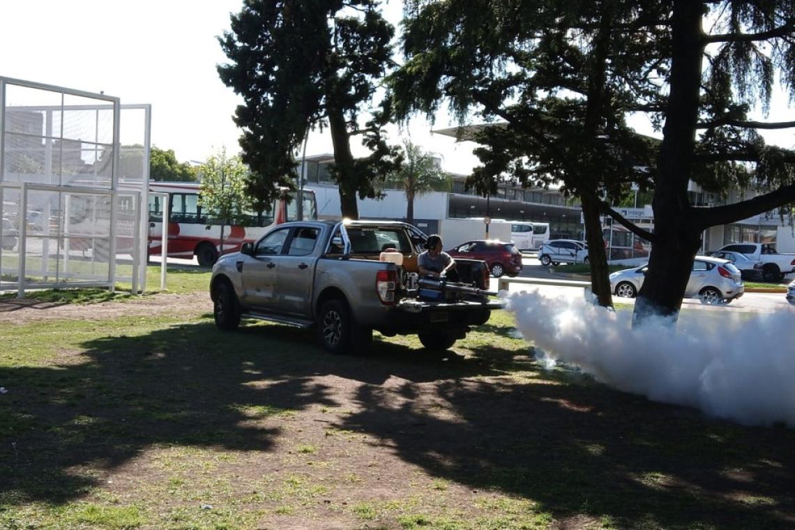 Fumigación: el municipio continúa con los operativos en parques, plazas y espacios verdes