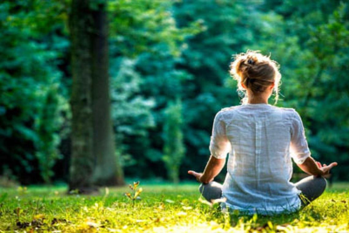 Nueve formas respaldadas por la ciencia para ayudarte a sentirte mejor en 2026