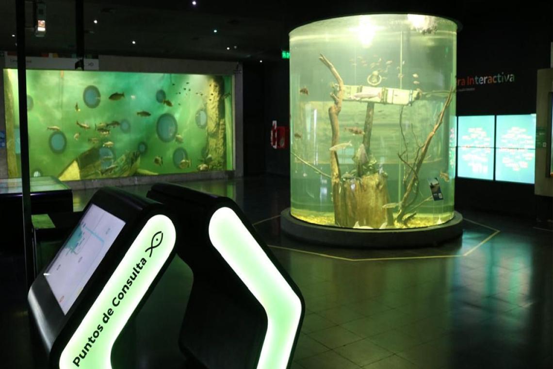 Con más de 110.000 visitantes, el Acuario del Río Paraná fortaleció su impacto educativo y territorial