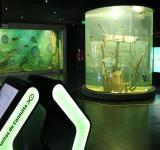 Con más de 110.000 visitantes, el Acuario del Río Paraná fortaleció su impacto educativo y territorial