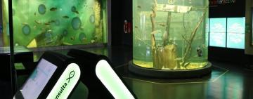 Con más de 110.000 visitantes, el Acuario del Río Paraná fortaleció su impacto educativo y territorial