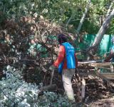 Autonomía: el municipio comenzó a intervenir baldíos descuidados sin necesidad de autorización judicial