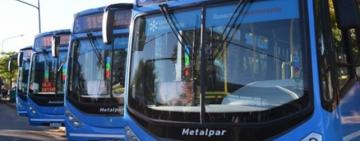 Por el inicio de clases, se suman 180 colectivos al transporte urbano en Rosario