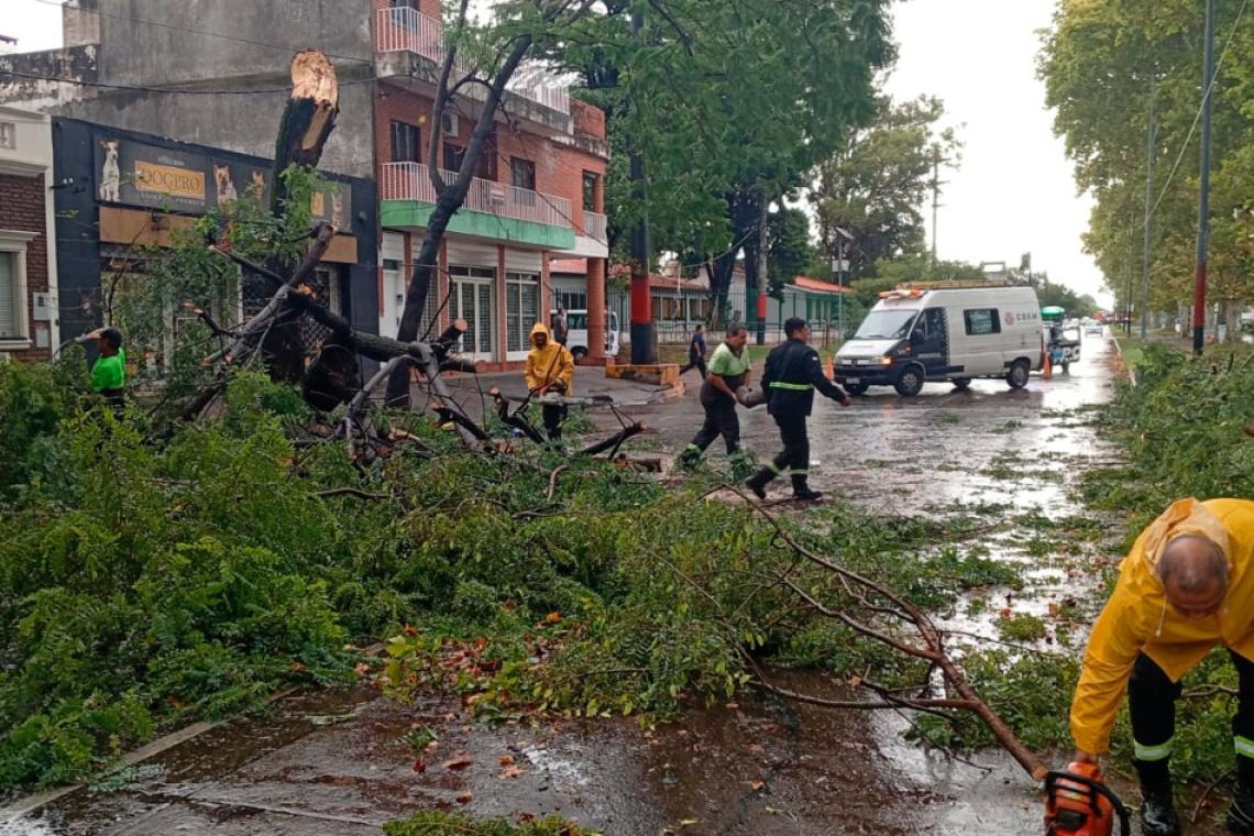 Tormenta en Rosario: ráfagas de hasta 102 km/h y más de 250 intervenciones