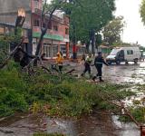 Tormenta en Rosario: ráfagas de hasta 102 km/h y más de 250 intervenciones