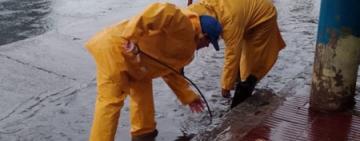 Temporal en Rosario: más de 120 mm de lluvia, 60 intervenciones y alerta por fuertes vientos