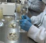 El Gobierno refuerza la protección de semillas y proyecta exportaciones por más de US$4.000 millones adicionales al año