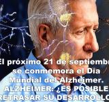 El próximo 21 de septiembre se conmemora el Día Mundial del Alzheimer. ALZHEIMER: ¿ES POSIBLE RETRASAR SU DESARROLLO?