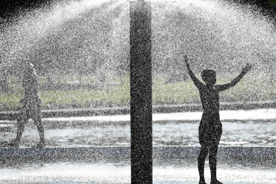  ¿Cómo lidiar con las altas temperaturas?