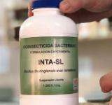 El INTA desarrolló un poderoso biolarvicida que mata las larvas del mosquito que transmite el dengue