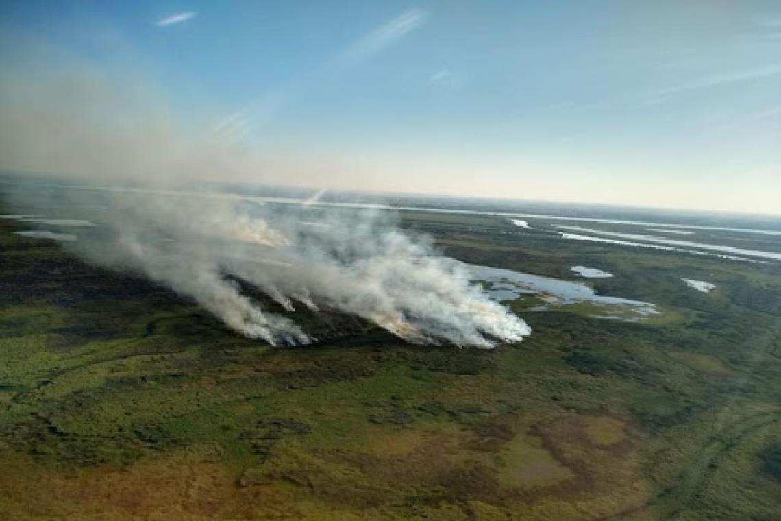 Ambientalistas estudian el impacto ecológico que provoca el fuego en las islas