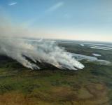 Ambientalistas estudian el impacto ecológico que provoca el fuego en las islas