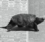 ¿Puede el «periodismo lento» reconquistar a los que evitan las noticias?