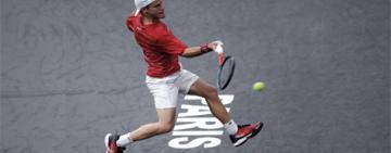 El "Peque" Schwartzman avanzó a los cuartos de final en París