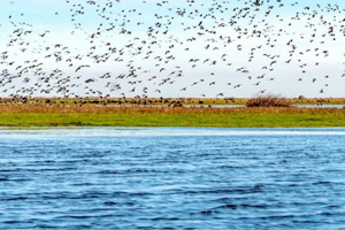 El agua comienza a operar en el mercado de futuros de los EEUU ante una potencial escasez