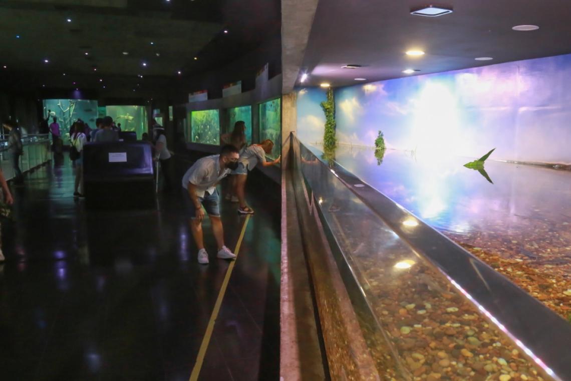 CIENTOS DE FAMILIAS ACOMPAÑARON LA REAPERTURA DEL ACUARIO DEL RÍO PARANÁ