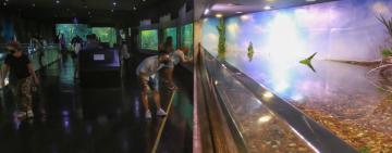 CIENTOS DE FAMILIAS ACOMPAÑARON LA REAPERTURA DEL ACUARIO DEL RÍO PARANÁ