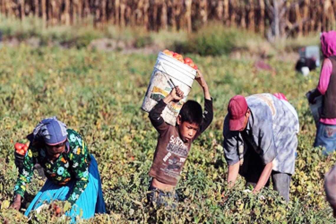 Rescataron a más de 100 trabajadores rurales "en condiciones infrahumanas"