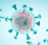 Córdoba: detectaron variantes del coronavirus de Reino Unido y Manaos en tres pacientes