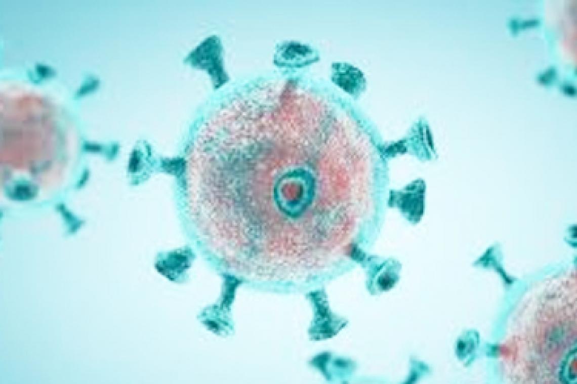 CORONAVIRUS: EL MINISTERIO DE SALUD INFORMÓ LA PRESENCIA DE LAS CEPAS DE MANAOS Y REINO UNIDO EN LA PROVINCIA