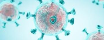 CORONAVIRUS: EL MINISTERIO DE SALUD INFORMÓ LA PRESENCIA DE LAS CEPAS DE MANAOS Y REINO UNIDO EN LA PROVINCIA